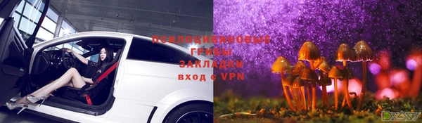 дмт Абинск