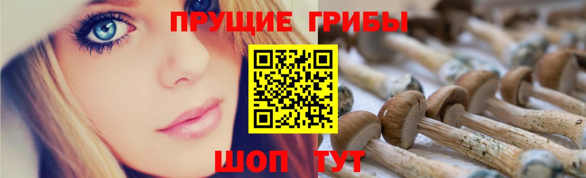 Псилоцибиновые грибы Psilocybine cubensis Скопин